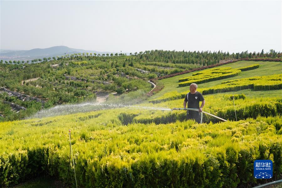 （新華全媒頭條·聚焦生物多樣性大會(huì)·圖文互動(dòng)）（3）攜手同行，開啟人類高質(zhì)量發(fā)展新征程——習(xí)近平主席在《生物多樣性公約》第十五次締約方大會(huì)領(lǐng)導(dǎo)人峰會(huì)上的主旨講話解讀